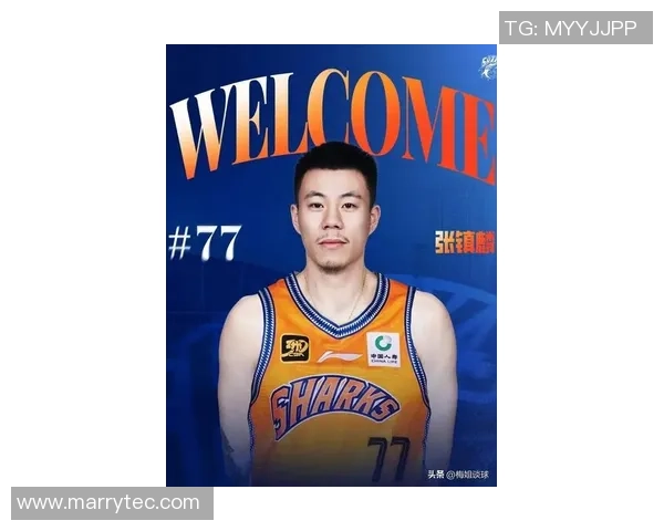 上海篮球队强势崛起荣登篮球配合排行榜第二名