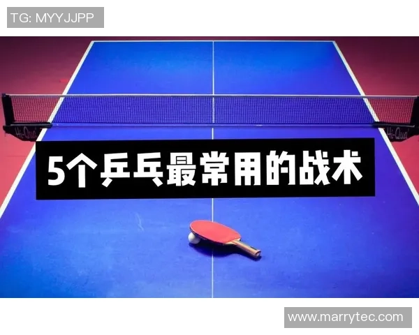 南京乒乓球队选拔赛战术分析与表现评估的深度解读