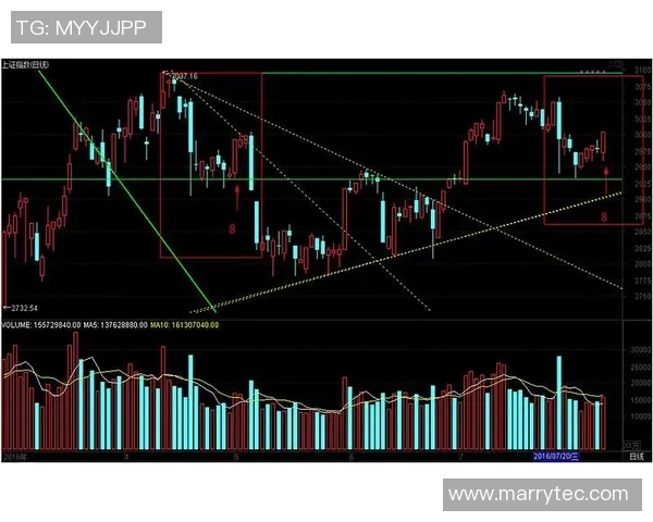 西安网球队防守策略深度分析与战术解读