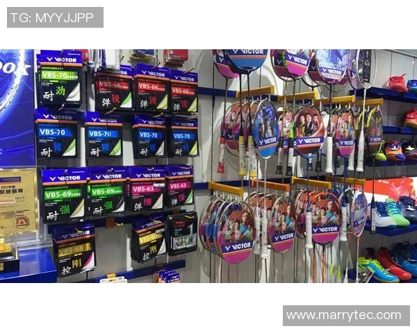 南京羽毛球队实力分析与发展前景探讨