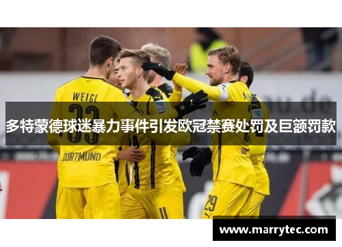 多特蒙德球迷暴力事件引发欧冠禁赛处罚及巨额罚款